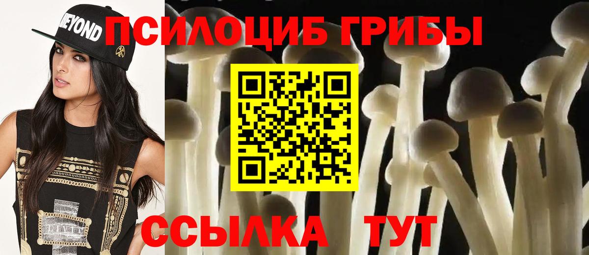 Псилоцибиновые грибы GOLDEN TEACHER  Вход с VPN  Дедовск 